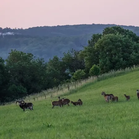 מלון Fernblick 3*